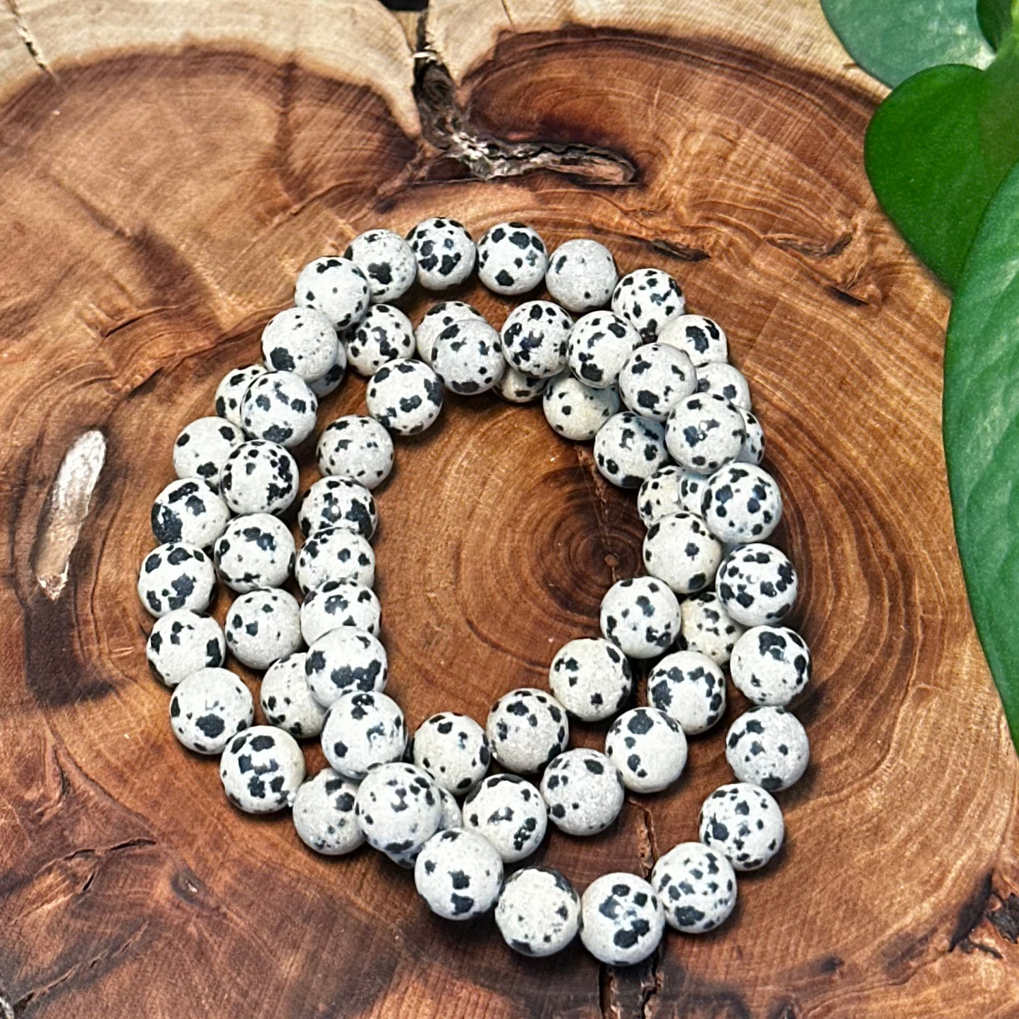 Dalmatian Jasper Bracelet (8mm)