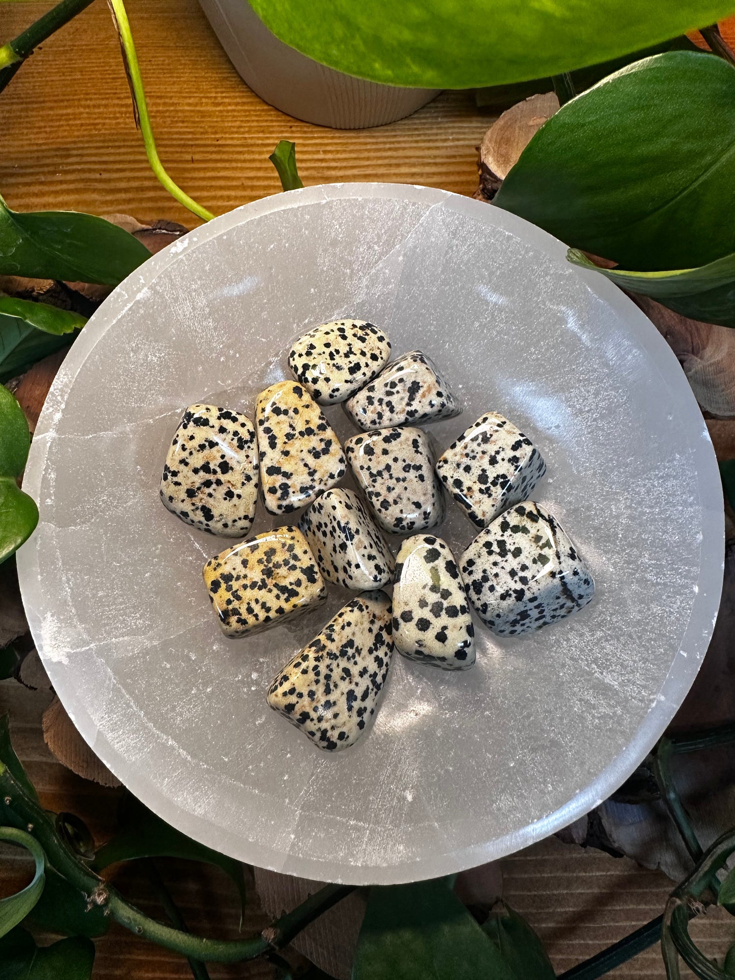 Tumbled Stones