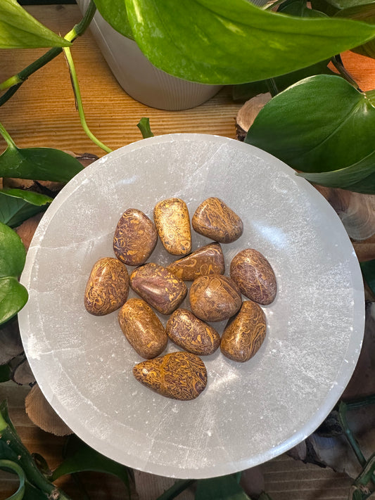 Calligraphy Jasper Tumbled Stones