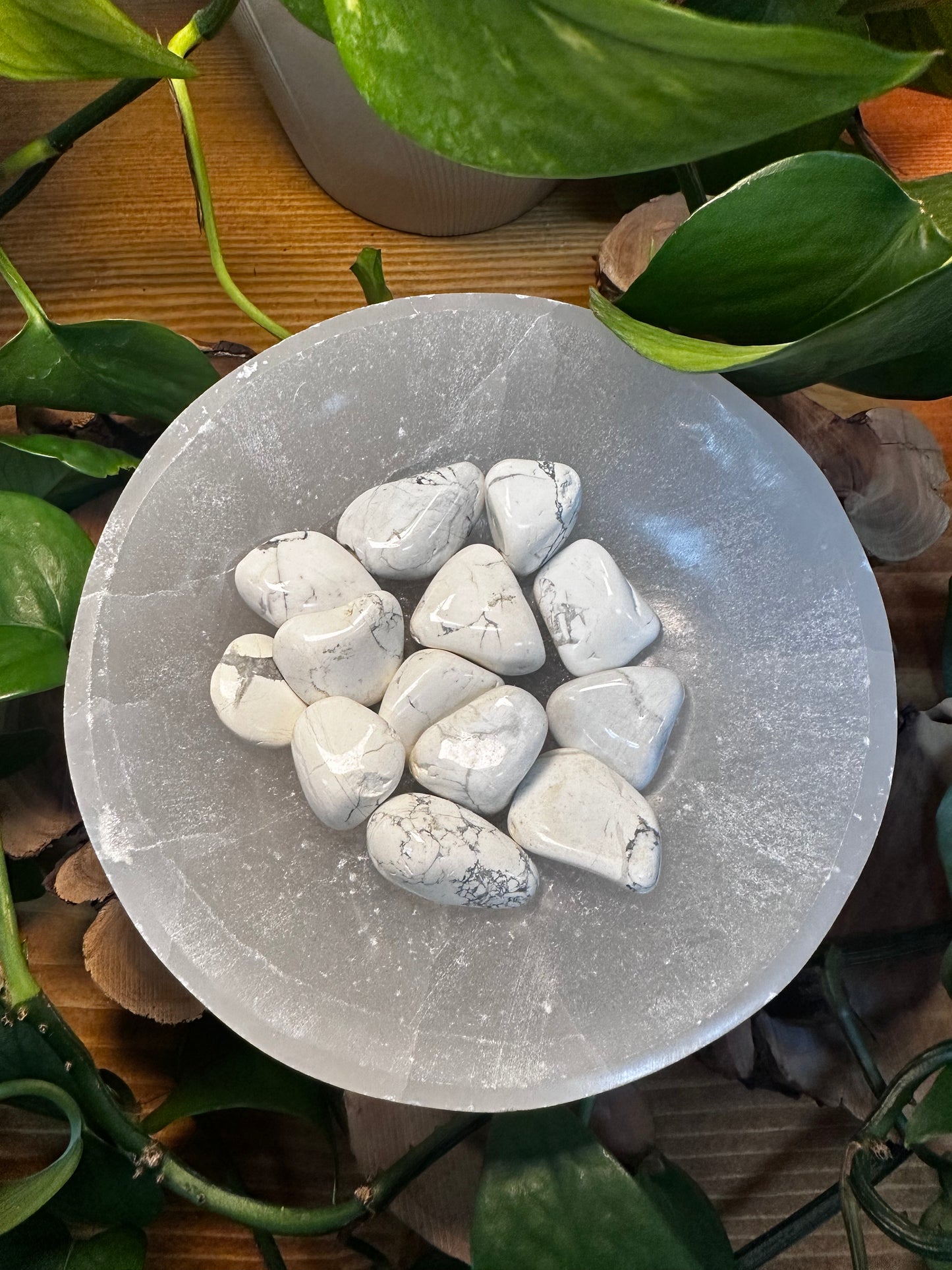 Howlite Tumbled Stones