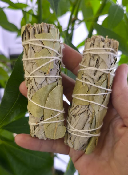 Bay Leaf with White Sage Bundle