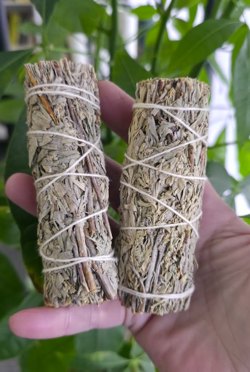 Blue Sage Bundle