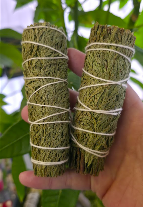 Cedar Bundle