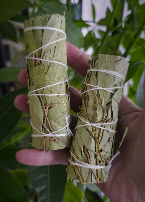 Eucalyptus & White Sage Bundle