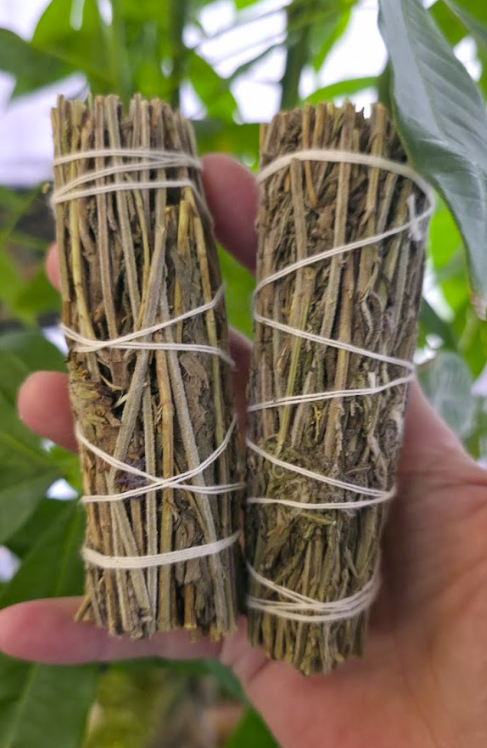 Lavender Sage Bundle