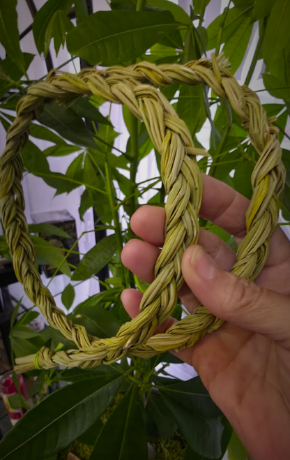 Sweet Grass Bundle (large - 30")