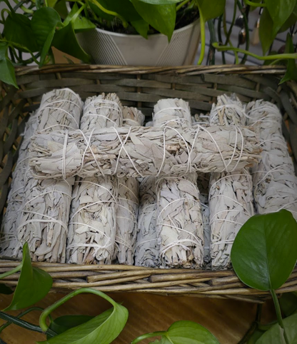 White Sage Bundle (7")