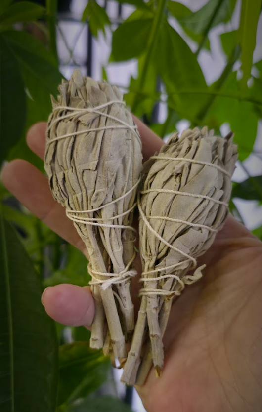 White Sage Torch