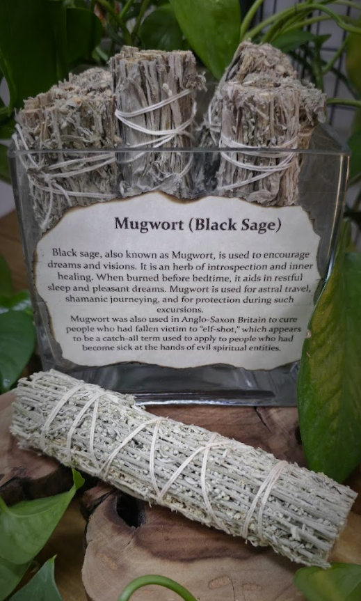 Mugwort (Black Sage) Bundle